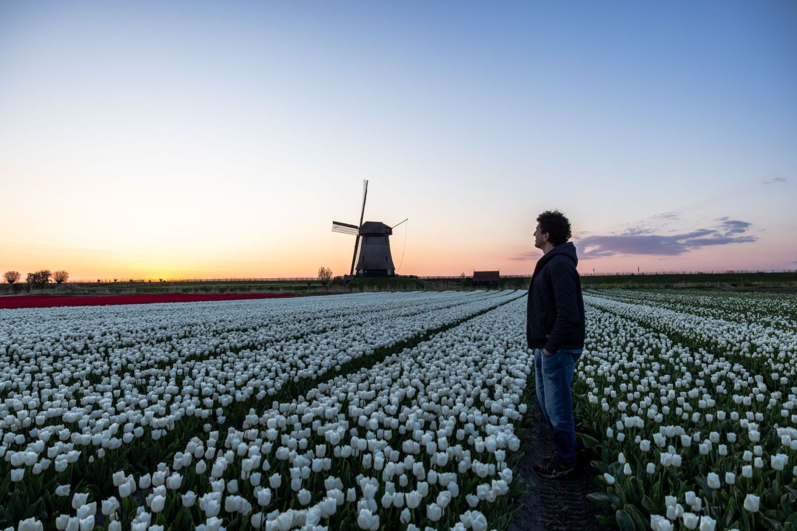 Nederlandene